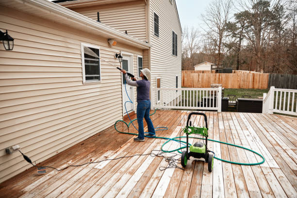 Best Roof Pressure Washing  in Dassel, MN