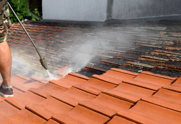 Best Deck Cleaning Services  in Dassel, MN