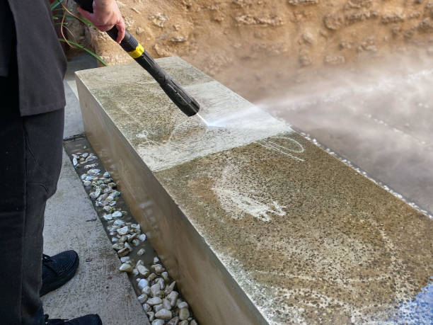 Best Local Pressure Washing Services  in Dassel, MN