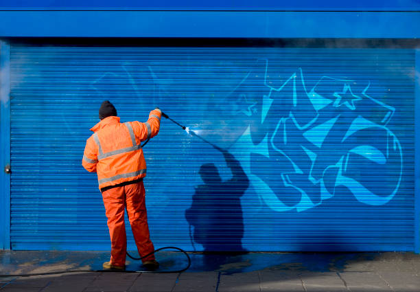 Best Best Pressure Washing Companies  in Dassel, MN