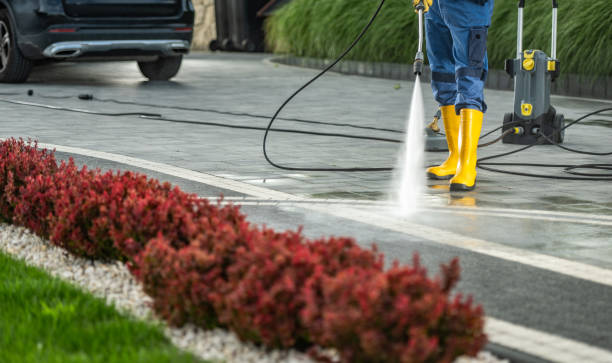 Best Concrete Pressure Washing  in Dassel, MN