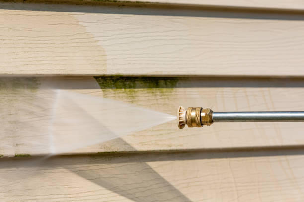 Best Exterior Home Cleaning  in Dassel, MN