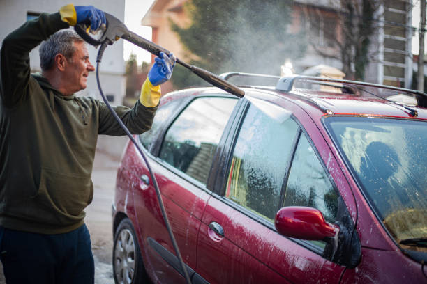 Best Deck Cleaning Services  in Dassel, MN